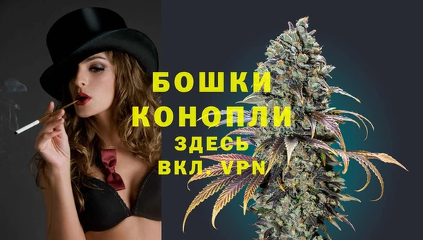 ECSTASY Бронницы