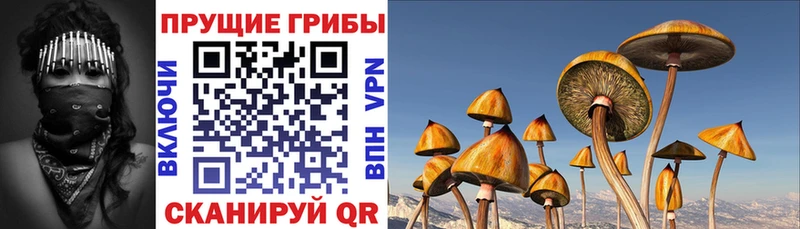 Псилоцибиновые грибы мухоморы  OMG   Курск 